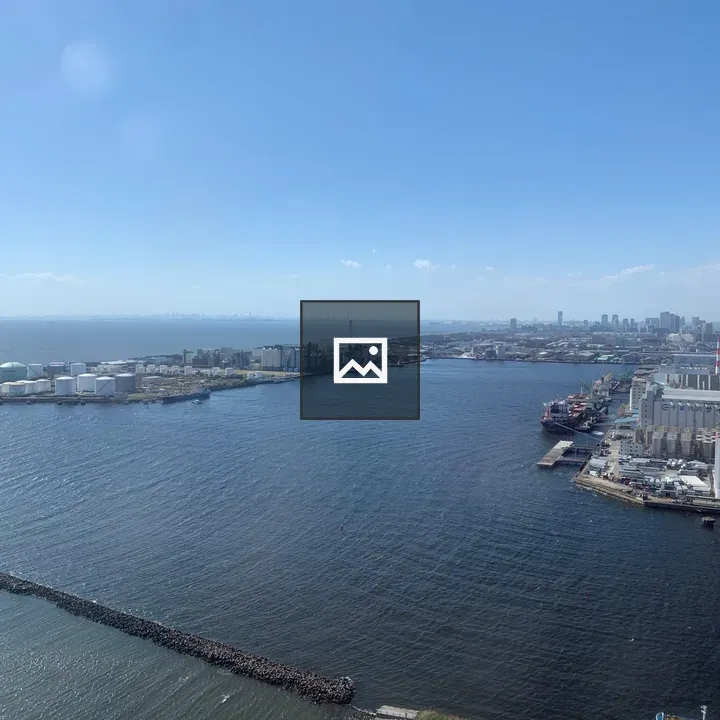 Harbor view from Chiba Port Tower