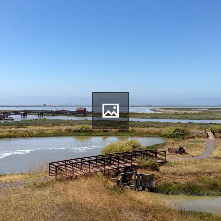 Don Edwards Refuge Scene
