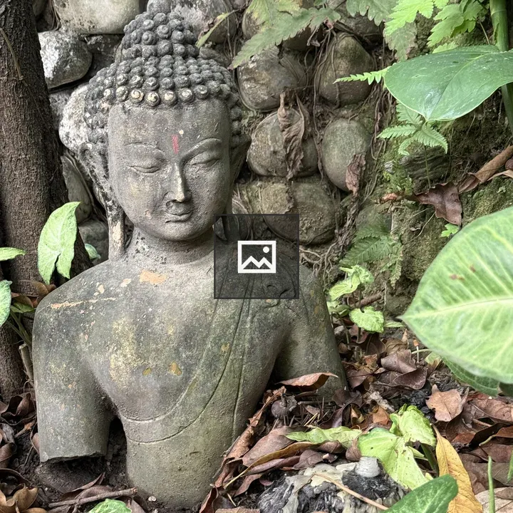 Buddha Bust Among Foliage