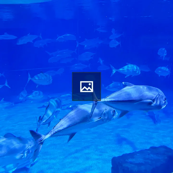 School of silver tropical fish