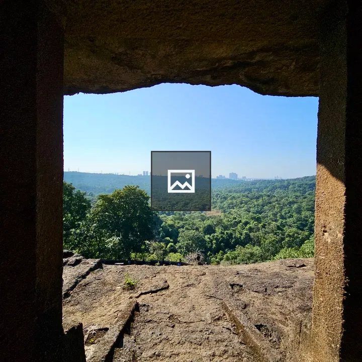 Forest valley view from cave opening