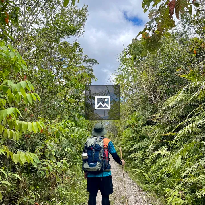 Hiker Seen from Behind