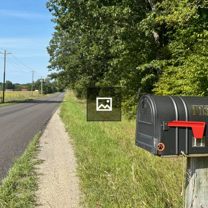 Mailbox and Country Road