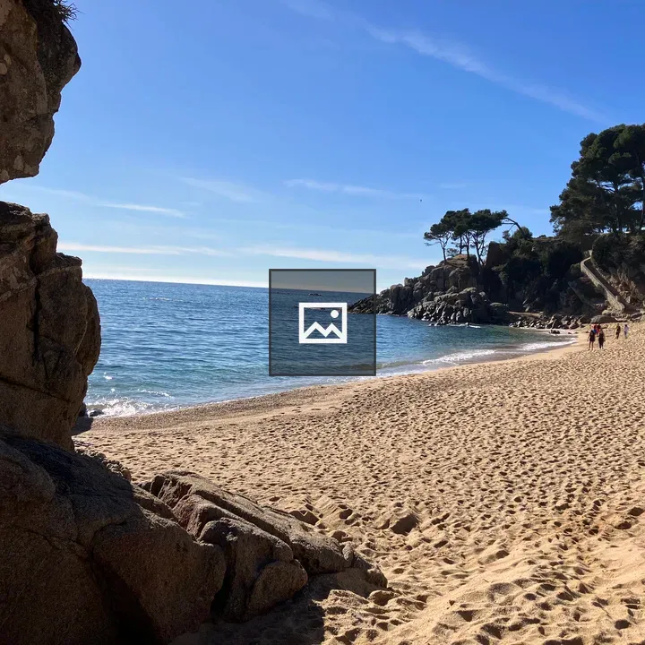 Beach at Platja de Ses Torretes
