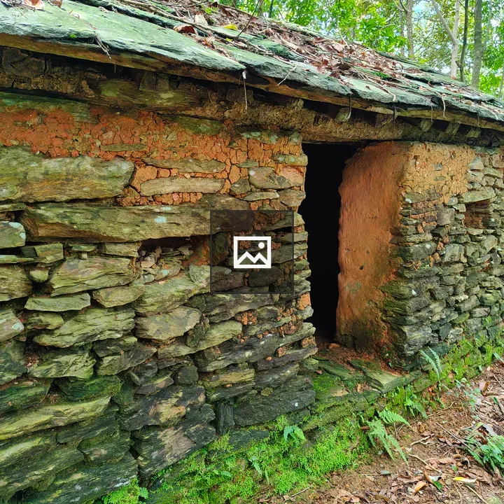 Stone structure with moss