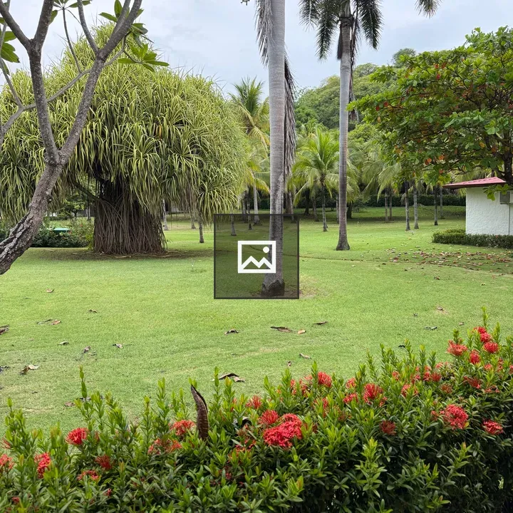Palm tree garden scene