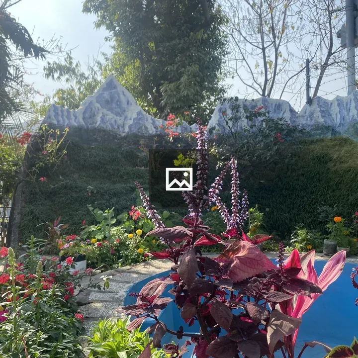 Garden scene with pink and purple plants