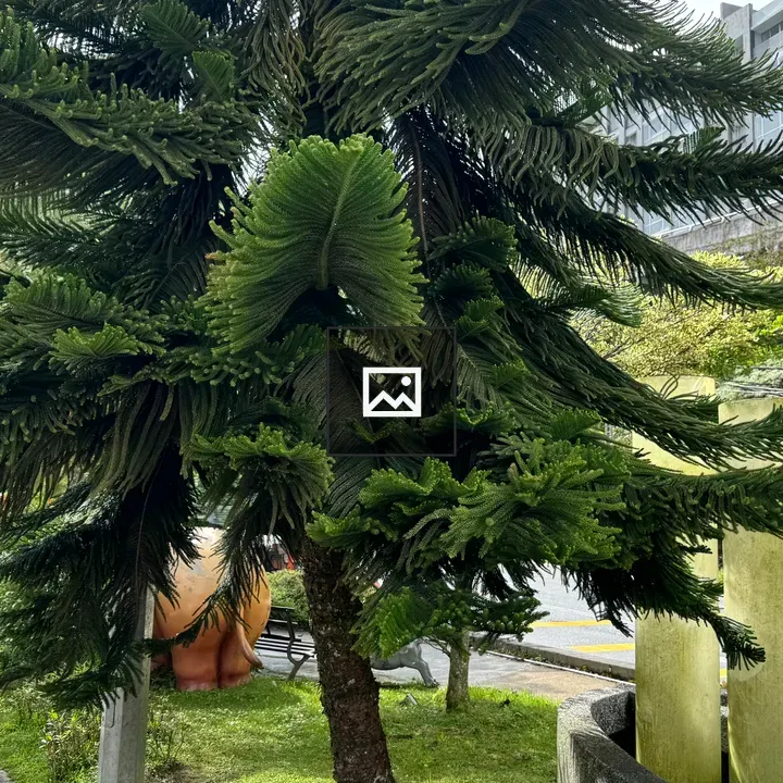 Majestic tree with green leaf