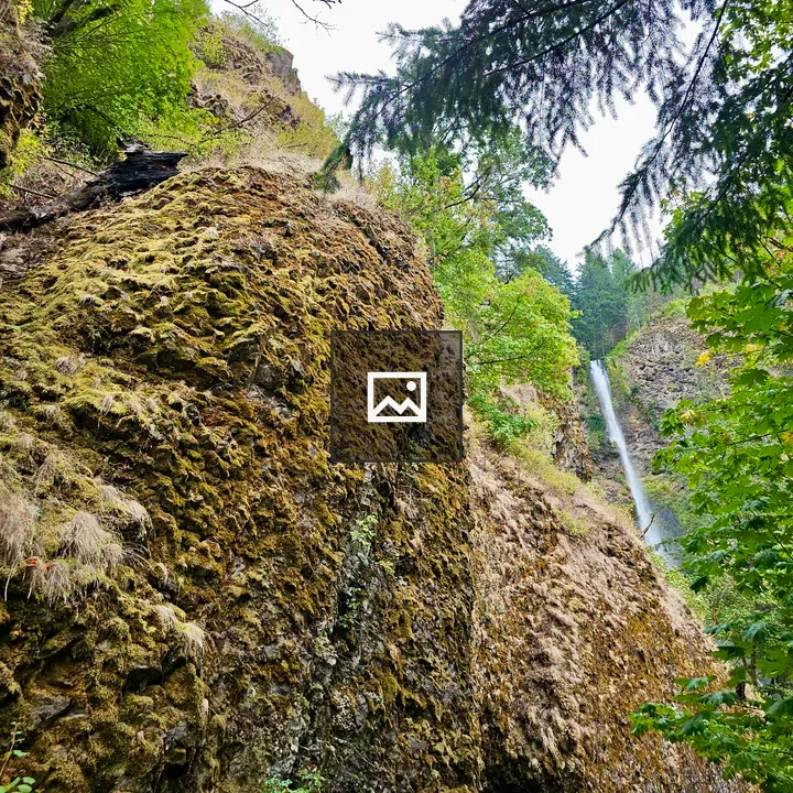 Mossy cliff with distant waterfall