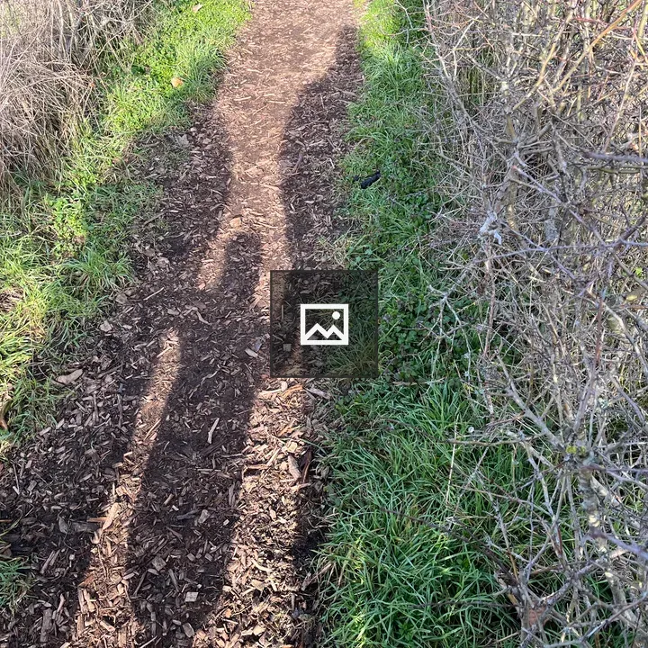 Shadows on a Path with Family Figures