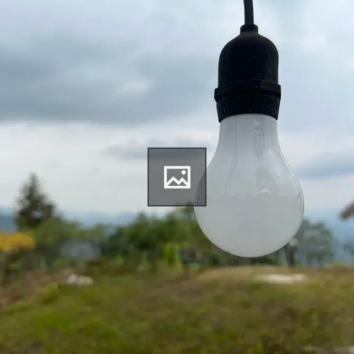 Bulb