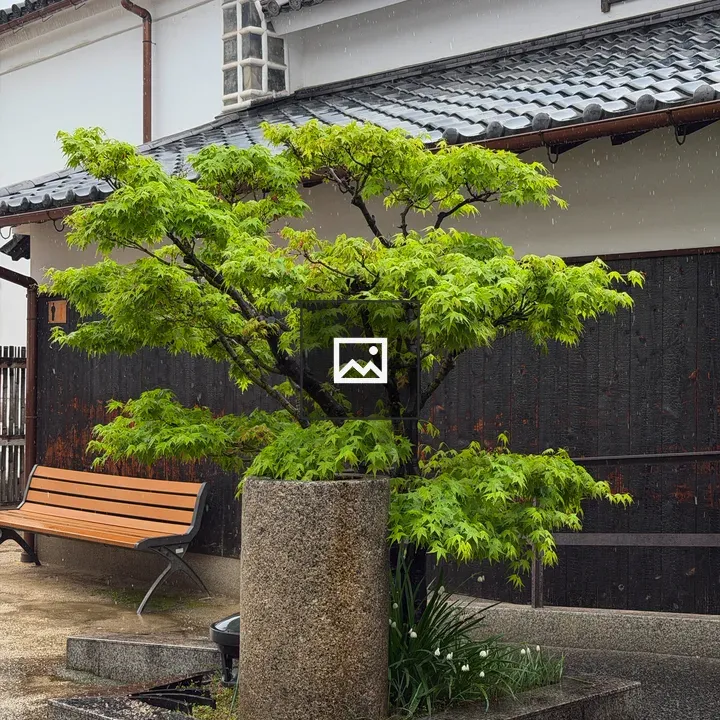 Rainy Street in Kurashiki