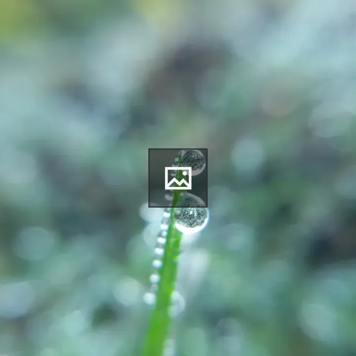 Water drop in grass