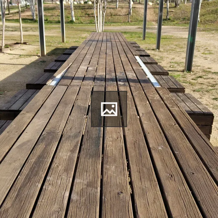Low-angle wooden platform in park