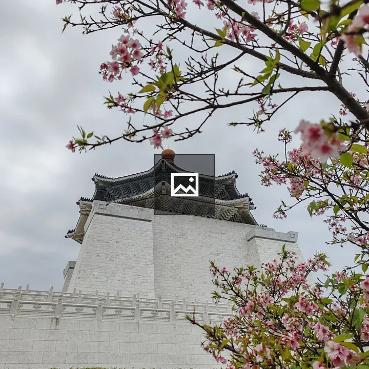 Cherry blossoms in foreground with traditional building