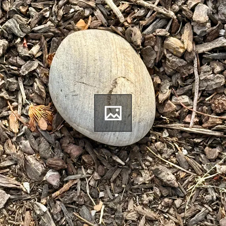 Rock on Mulch in Portland