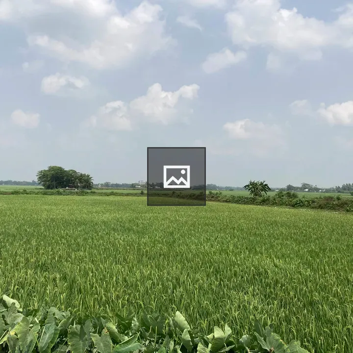 Crop Fields