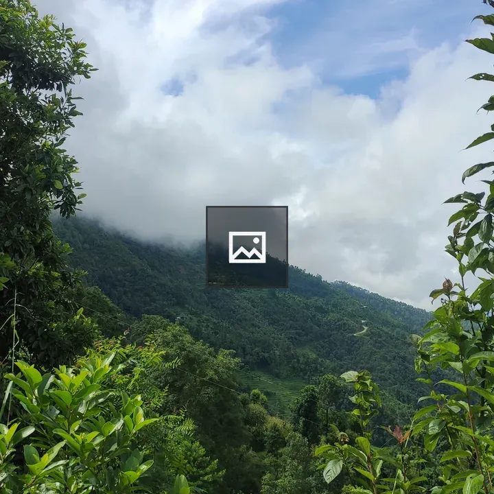 Lush Green Landscape with Mountain Range