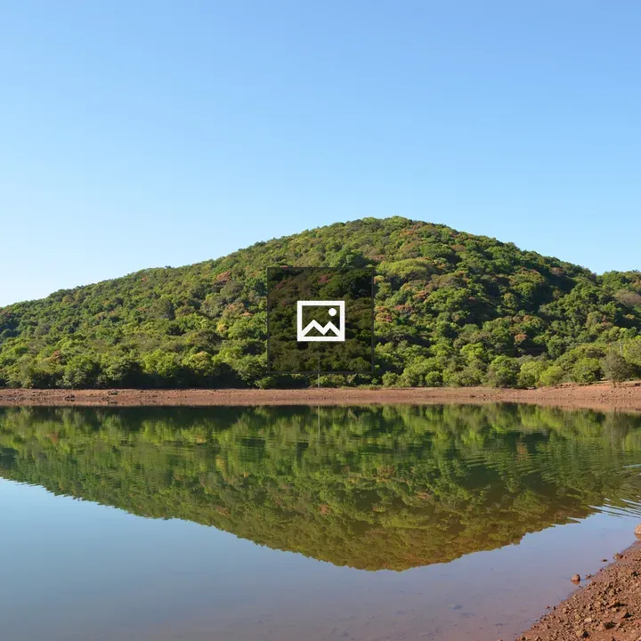 Lake surrounded by jungle