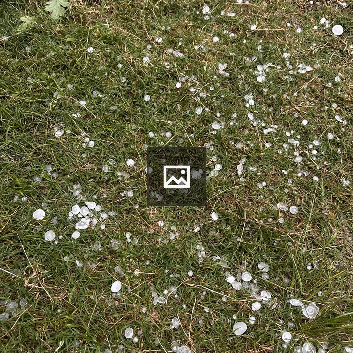 A battered green field after rain