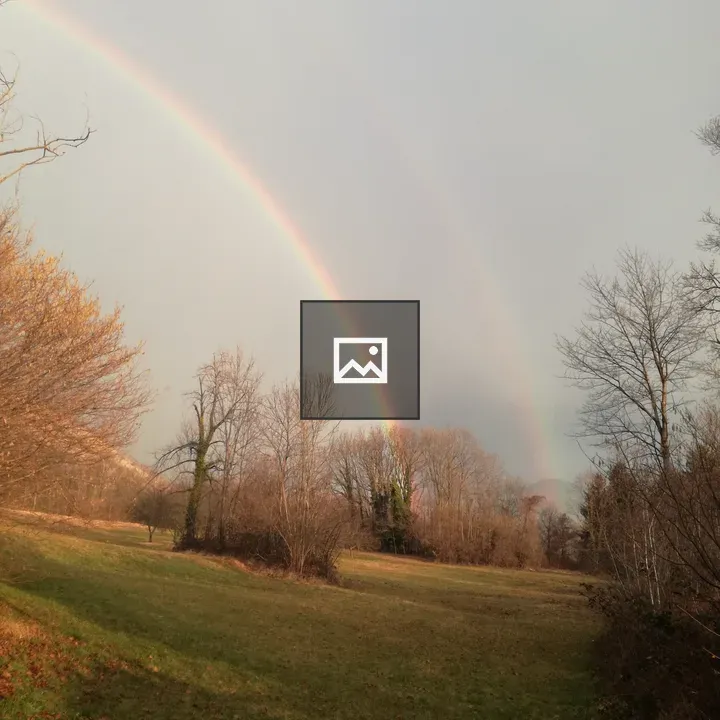 Rainbow over meadow and forest