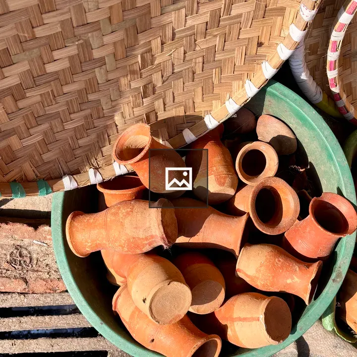 Green container with terracotta cups