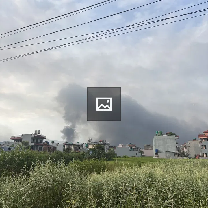 Suburban buildings with grass and power lines