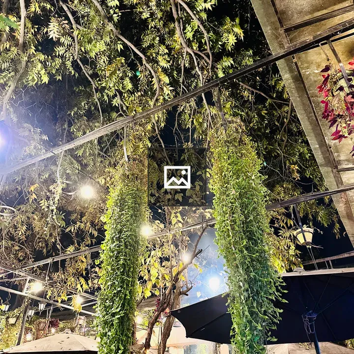 Hanging flowers in Kathmandu restaurant