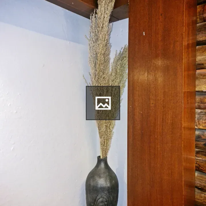 Indoor decorative plant