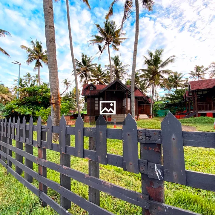Cozy cottages with coconut trees