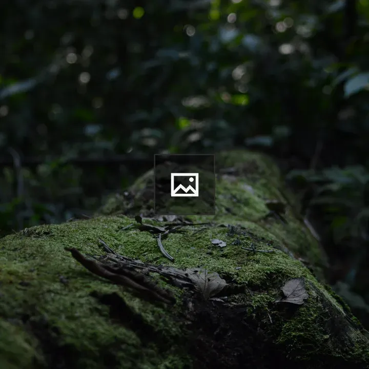 Fallen tree trunk with moss