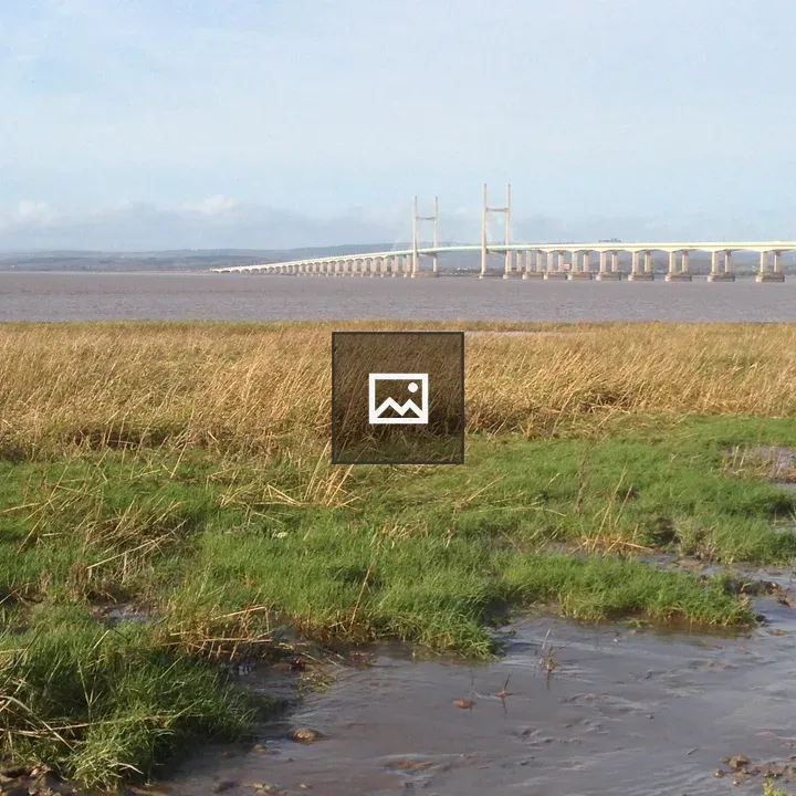 The Severn Bridge