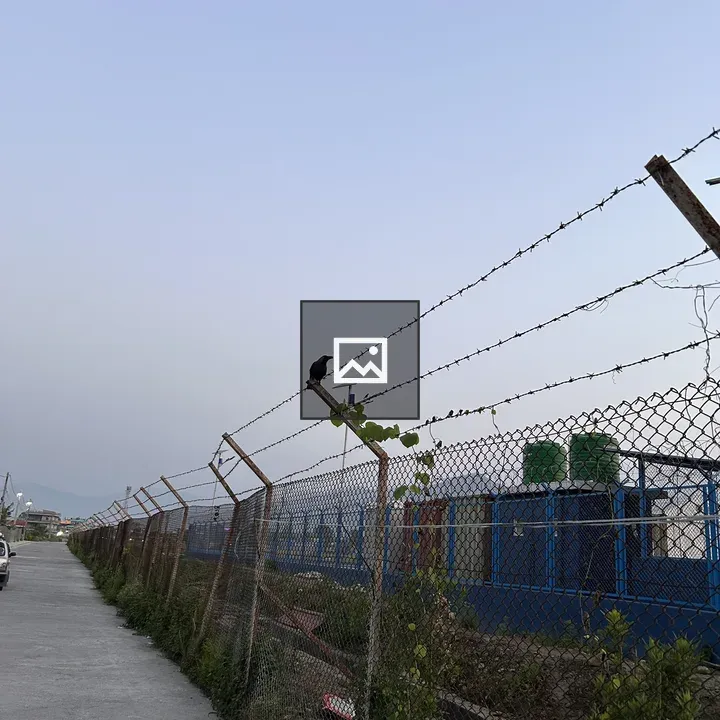 Bird on Barbed Wire Fence