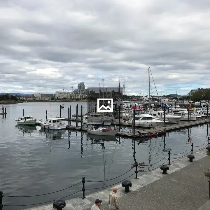 Docks with Boats in Victoria Harbour