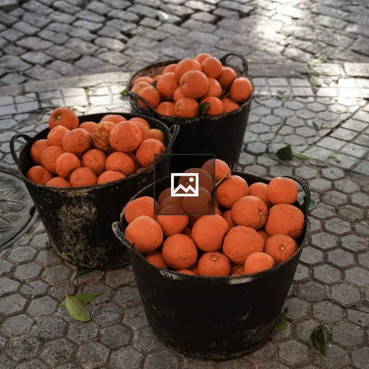 Three Buckets of Bitter Oranges
