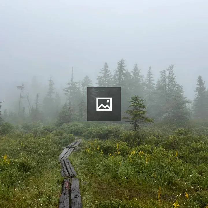 Foggy bog hike near Lonesome Lake