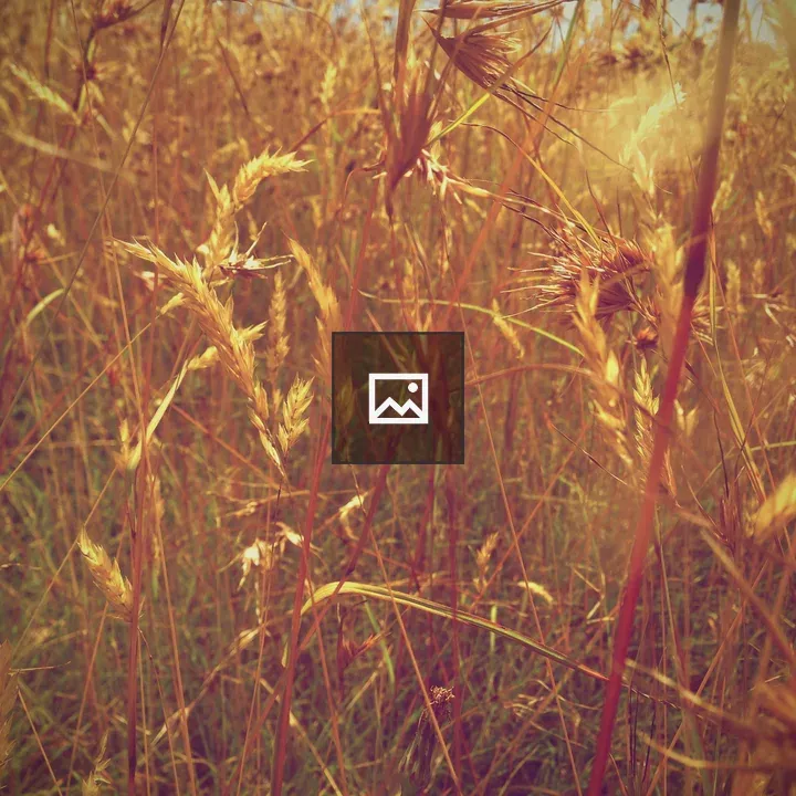 Endless Wheat