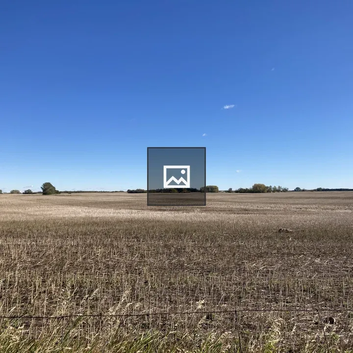Edge of Alberta Wheat Field