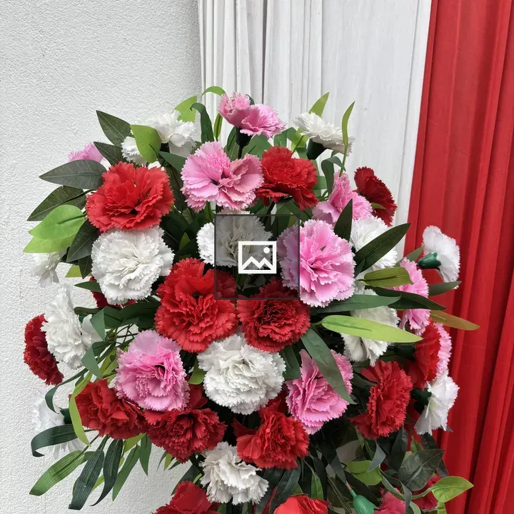 Bouquet of Carnations