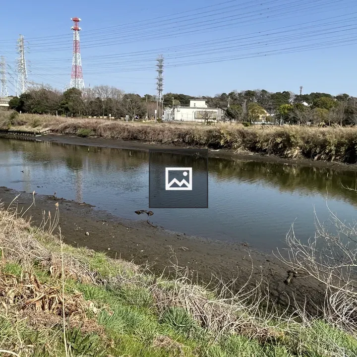 Hanami River Canal Scene