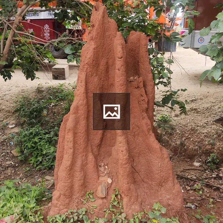 Anthill near Varthur–Sarjapur Road