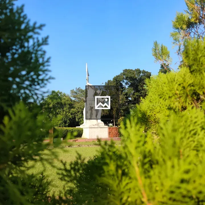 Shaheed Minar Monument in Garden