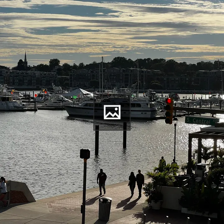 Harbor Water On Sunny Day