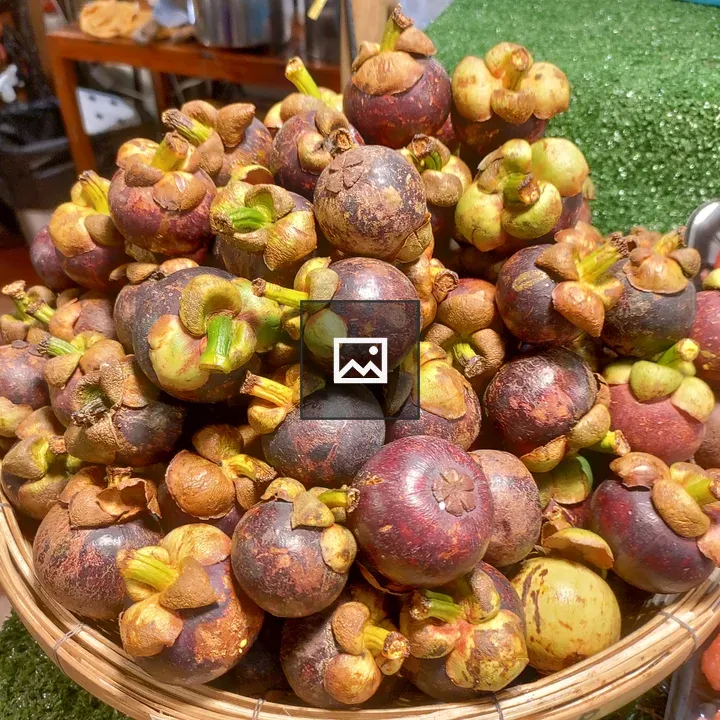 Mangosteen