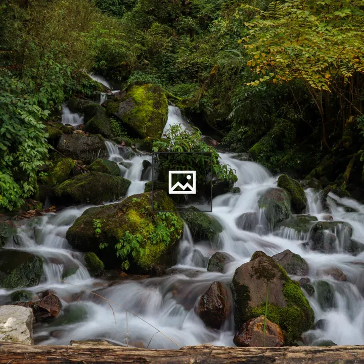 Waterfall in Mossy Forest