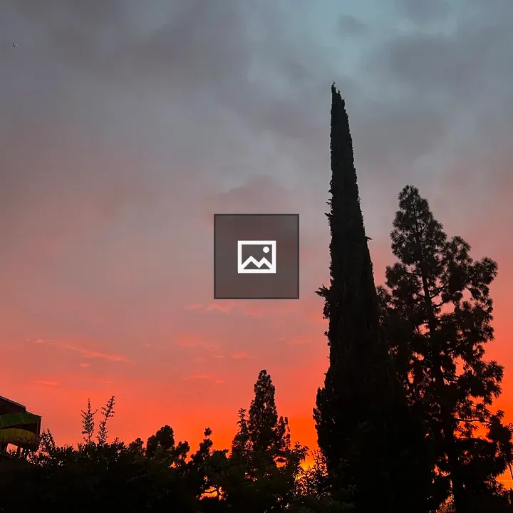Sunset with Branches
