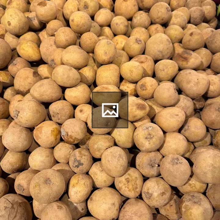 Sapodilla Fruit Pile