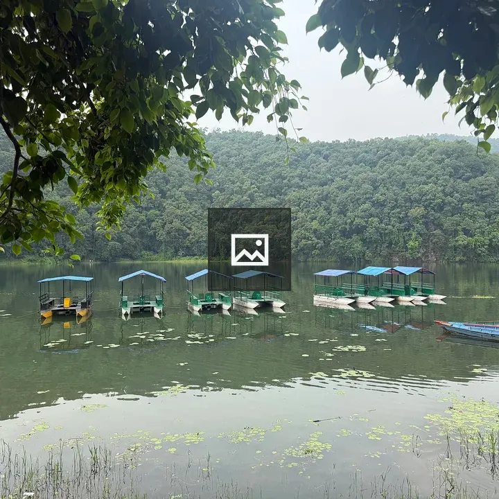 Fewa Lake pedal boats scene