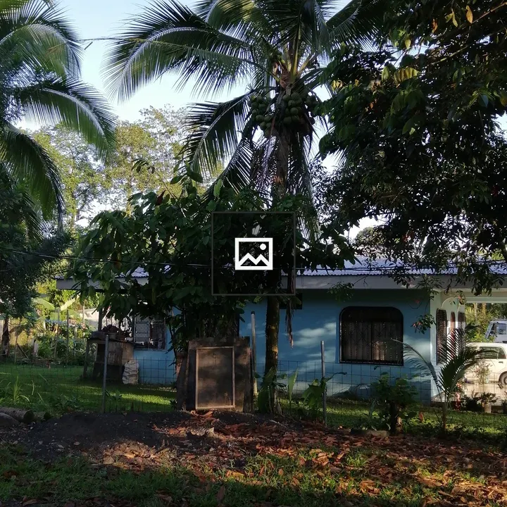 Blue house with palm trees