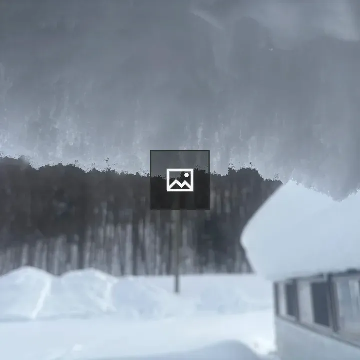 Snow on Roof and Yard